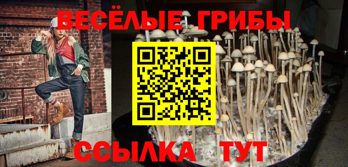 купить наркоту  Галлюциногенные грибы мухоморы  Вход с VPN  Нерюнгри 